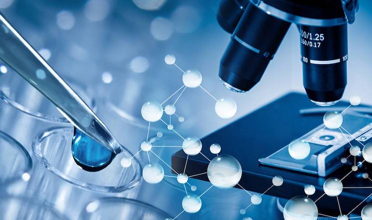 SCI样板 - Introduction